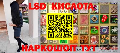гидра Камышлов