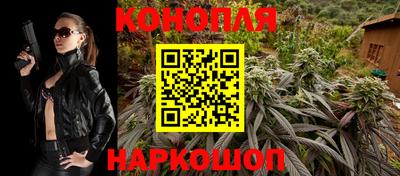 гидра Камышлов