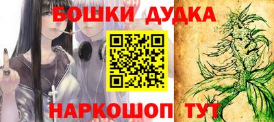 гидра Камышлов