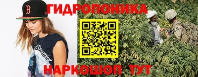 гидра Камышлов