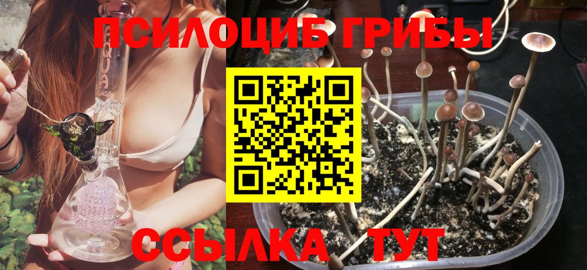 где найти   Галлюциногенные грибы Psilocybine cubensis  Краснокаменск  Вход с VPN  Псилоцибиновые грибы Psilocybe 