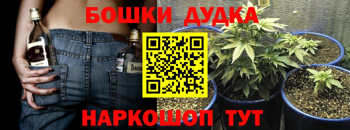 Конопля White Widow  Вход с VPN  МАРИХУАНА конопля  Бошки Шишки SATIVA & INDICA  Краснокаменск  Шишки марихуана план 